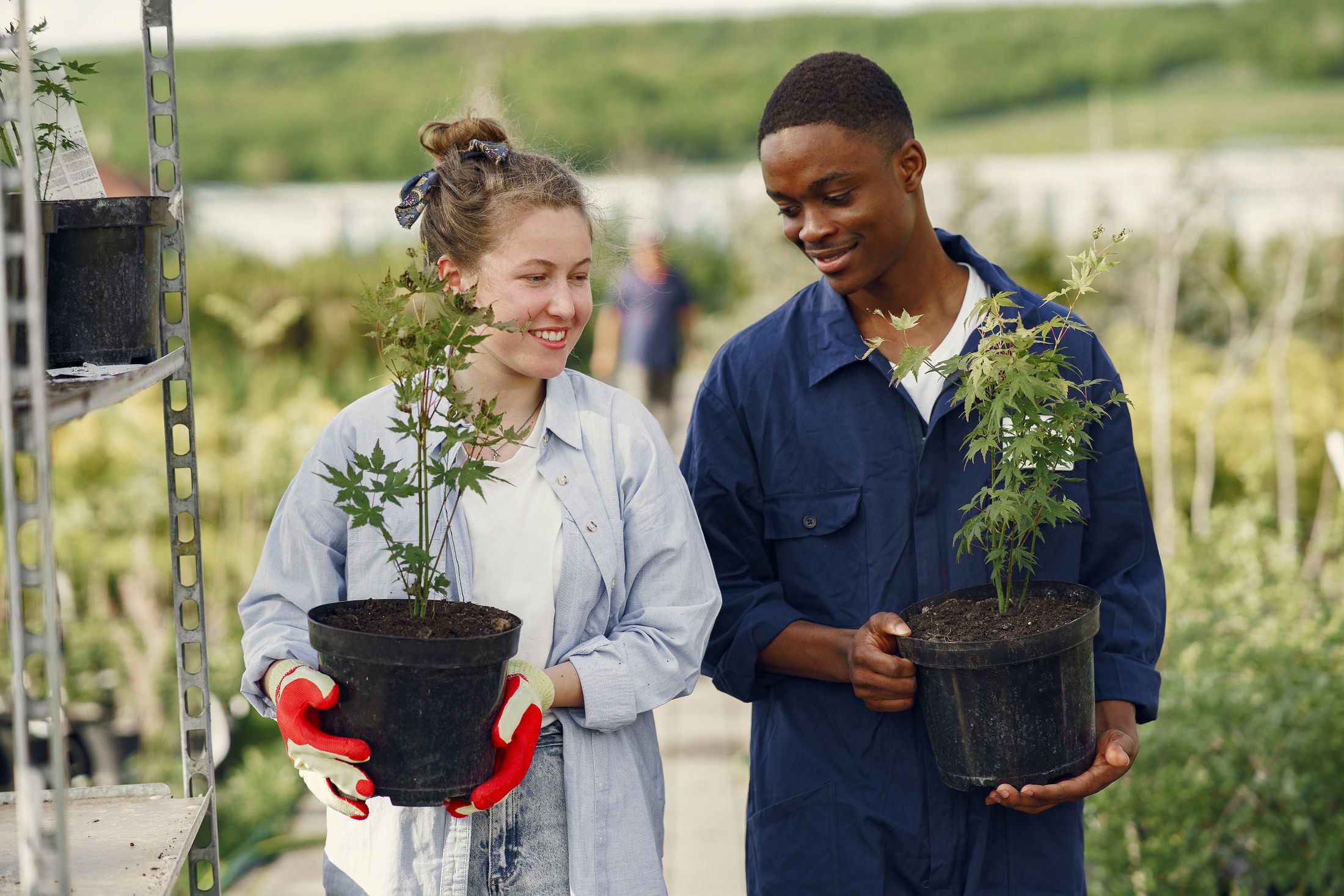 Illustrative stock: two adults with plants at a nursery